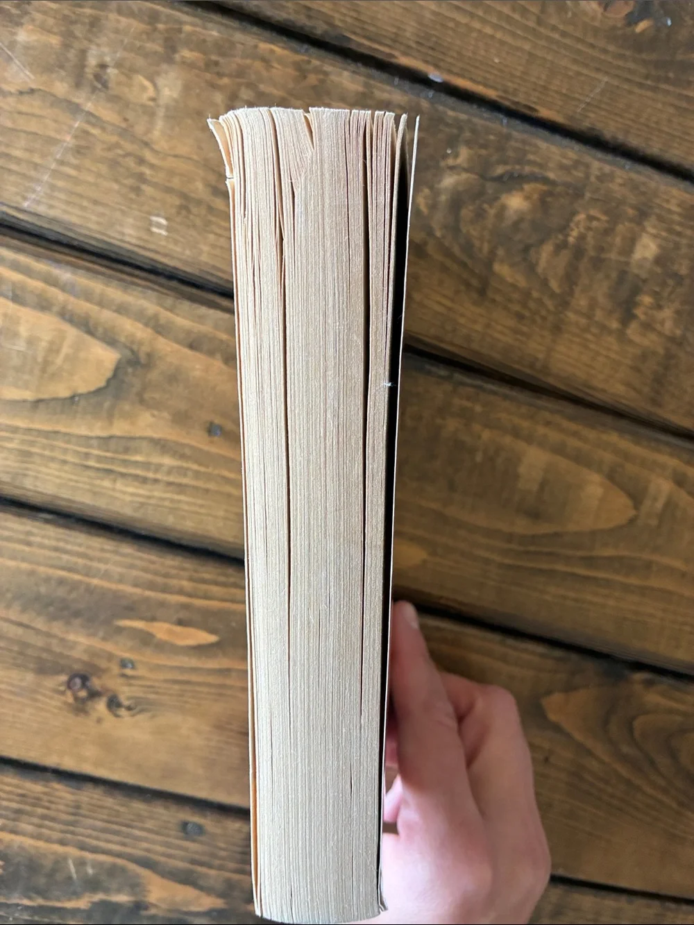 The Singer of All Songs book